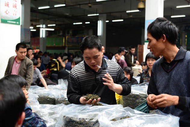 合作社的安溪铁观音茶叶香熏染