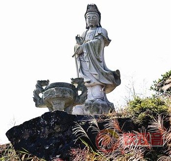 安溪铁观音的诞生