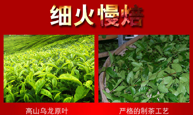 碳培铁观音泡法