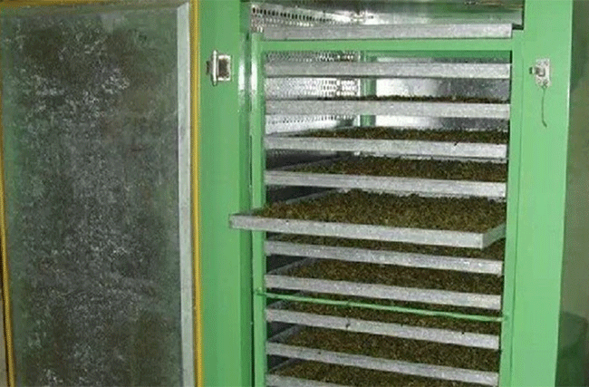 铁观音制作流程详细图解，从种植到包装成品
