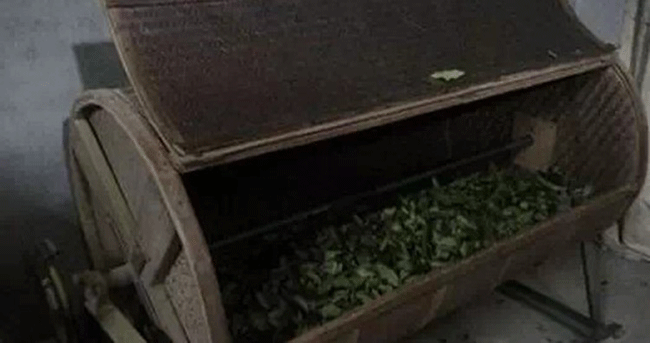 铁观音制作流程详细图解，从种植到包装成品