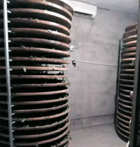 铁观音制作流程详细图解，从种植到包装成品