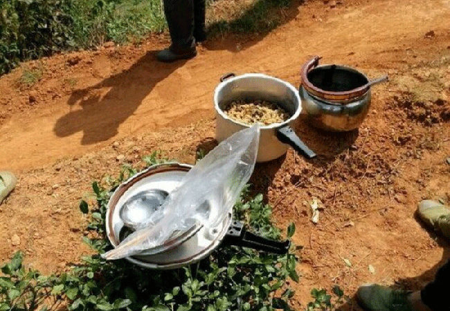 铁观音制作流程详细图解，从种植到包装成品
