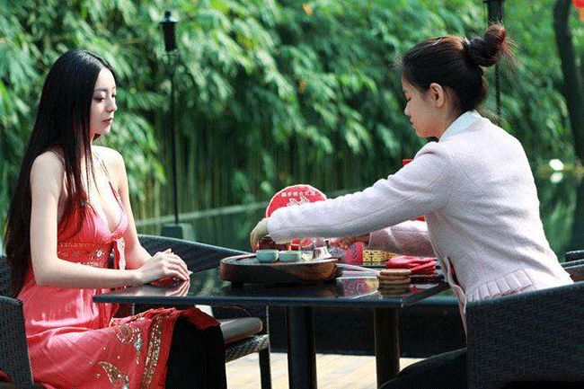 安溪铁观音茶文化，以茶会友其乐融