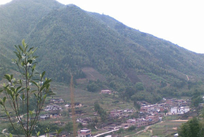 高山铁观音，为什么安溪高山铁观音质量好？