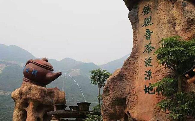 安溪铁观音产地分布大全