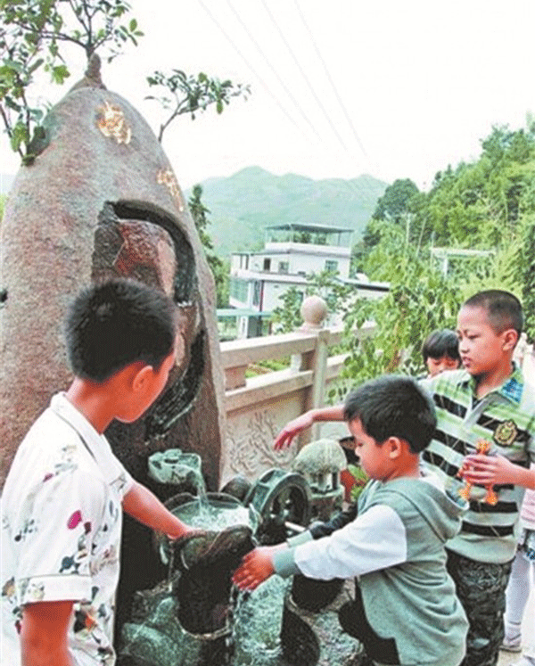 铁观音产地，安溪龙涓自然农耕生态铁观音