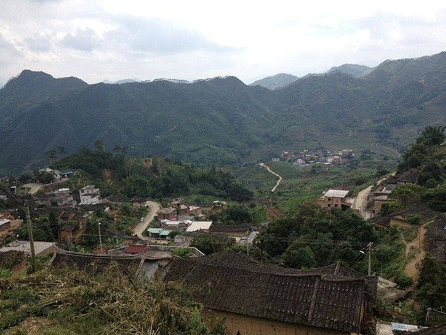 铁观音产地，安溪龙涓自然农耕生态铁观音