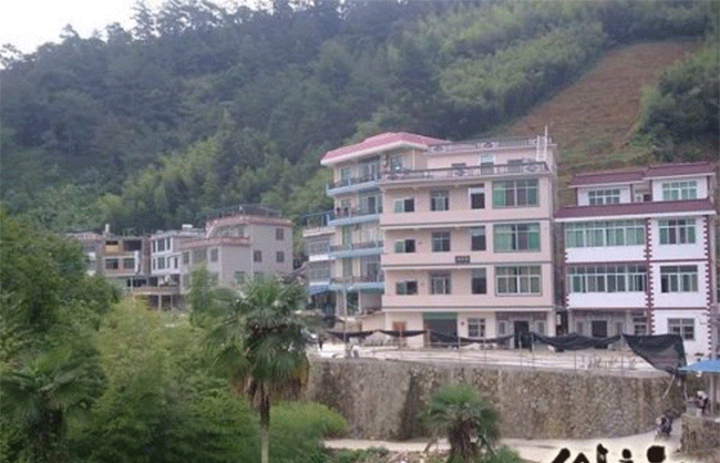 铁观音产地，安溪龙涓自然农耕生态铁观音