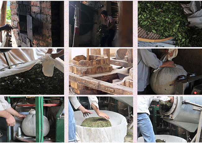 铁观音茶“消青大味”是如何制作的？