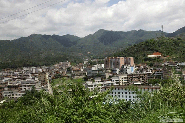铁观音产地，西坪铁观音特点是什么？