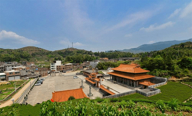 铁观音产地，如何甄别祥华铁观音