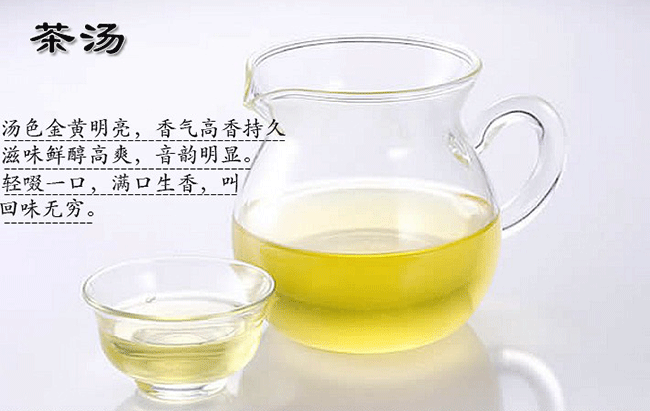 浓香型铁观音的“十大误区”你了解了吗？