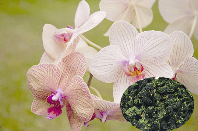 铁观音兰花香是什么意思？兰花香铁观音什么味道？
