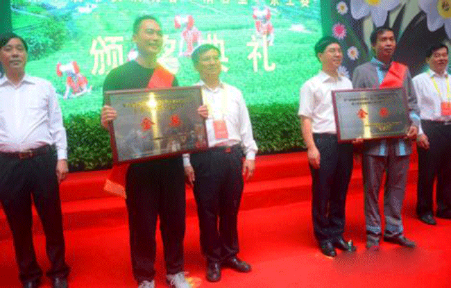 铁观音产地，华安铁观音