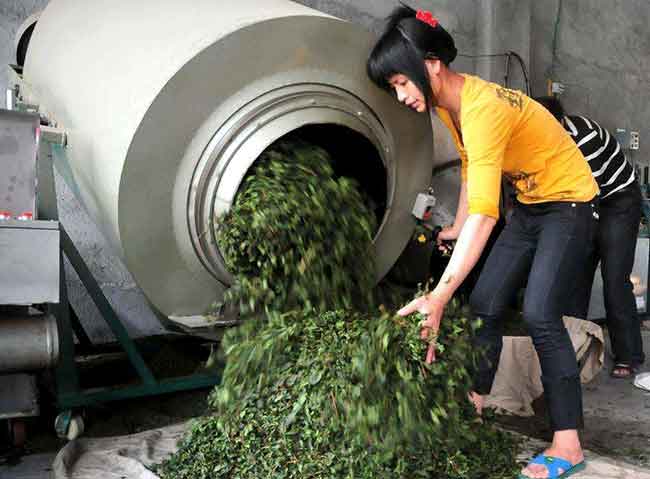手工茶600一斤贵吗？手工价格问答