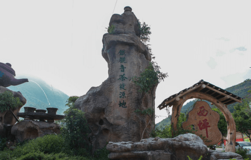 我们无意去打扰这座小村宁静的清晨，只是着实好奇在铁观音发源地，类似于张秋月这样的采茶工，他们的一天是怎样度过的
